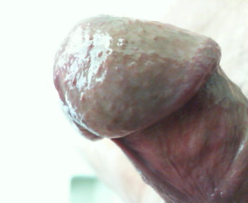 Image62..my cock is really stiff , veins bulging, my cockhead is at maximun engorgement and feels so nice to be sucked on when it`s this hard...wish you could and I`d suck yours, gladly..